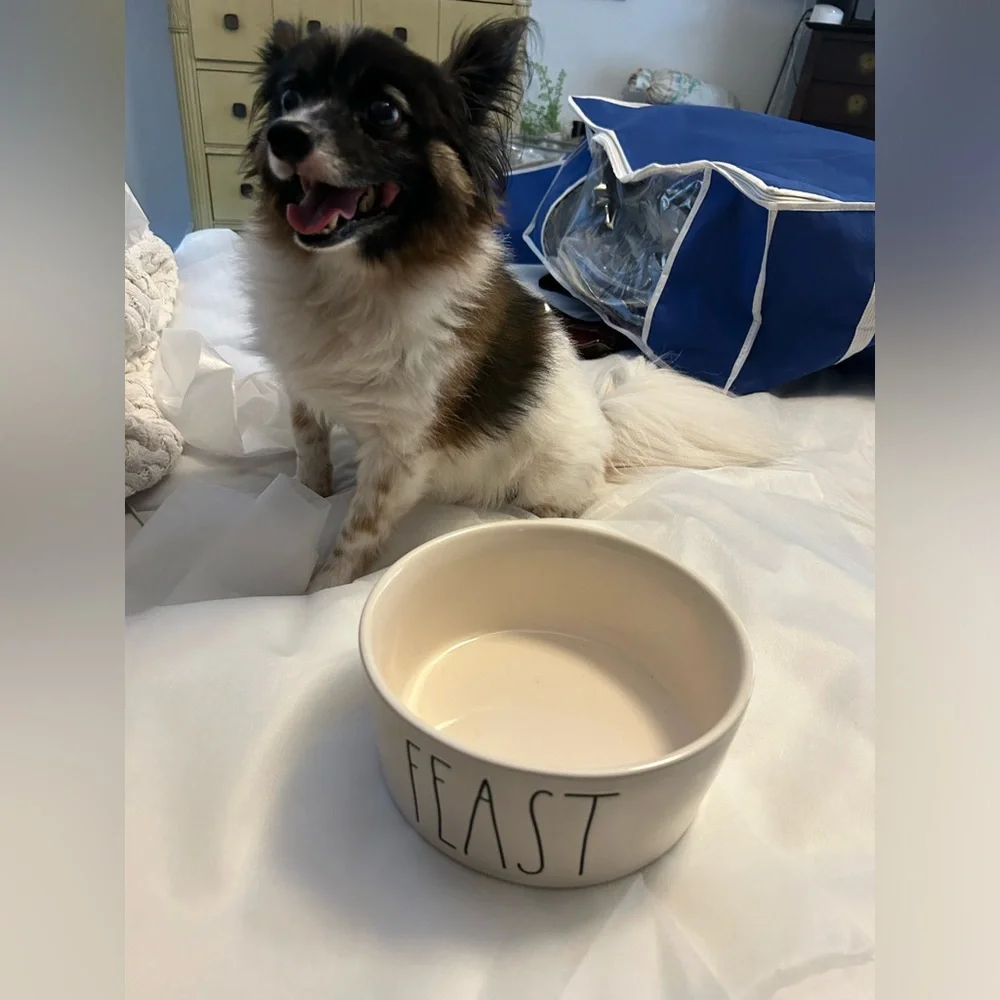 Rae Dunn “Treat” dog dish. Artisan Collection By Magenta White 6 in.